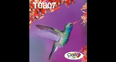 Epson T0807 - Inktcartridge / Kleur