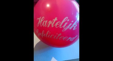 Sorbo Ballonnen - 14 stuks - Diverse kleuren