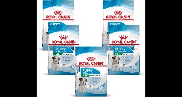 Royal Canin Mini - Puppy-Hondenvoer - 5 x 800 g