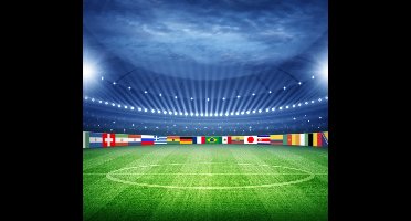 Voetbalstadion world cup - Fotobehang (in banen) - 250 x 260 cm