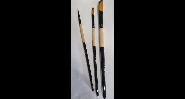 Ami Biezentrekker Set A300