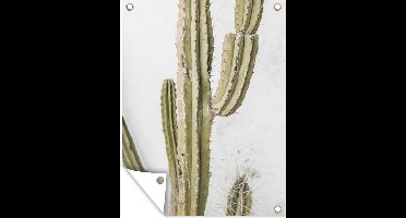 GreatGardenPosters - Tuindoek - Zomer - Cactus - Planten - Tropisch - Tuin - 120x160 cm - Tuinposter - Tuinschilderij - Muurdecoratie - Wanddecoratie