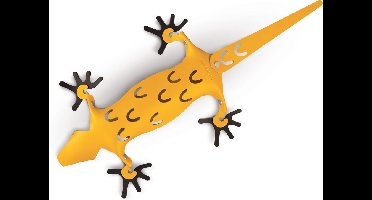 Geel Amigos Organiser Hagedis