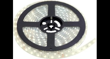 PURPL LED Strip Helder Wit | 5 meter | 12V | IP68