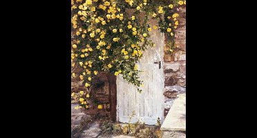 Kunstdruk Christian Sommer - Sommergarten 98x118cm