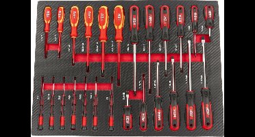 25 Delige Schroevendraaierset in Carbon Foam inlay voor Gereedschapswagen