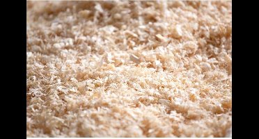 DUVO+ Houtvezel - Ideale Bodembedekking Voor Knaagdieren & Slangen - Sterk Absorberend - 1Kg