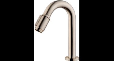 Wiesbaden Victoria fonteinkraan geborsteld staal