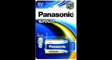 Panasonic Evolta