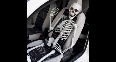 MikaMax Human Size Skelet - Levensecht Lijkend Skelet - Halloween Skelet - Halloween Decoratie - Realistisch Design - 170 cm