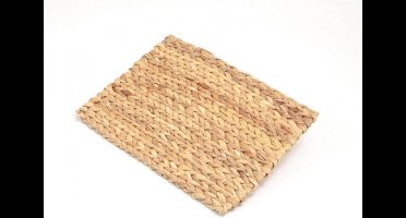 Rosewood Chill 'N' Chew Knaagmat