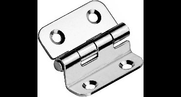 FES Marine - RVS verzetscharnier 37x37x1,7mm - PER 2