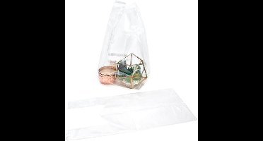 Plastic Draagtas Transparant 2,54x2,54x5,46cm (100 Stuks)