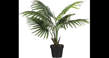 Mica Decorations Fan Kunstpalm - H80 x Ø80 cm - Plastic Pot - Groen