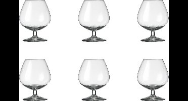 Royal Leerdam Gilde Cognacglas 25 cl - 6 stuks