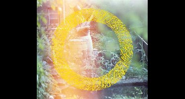 Soft Cell - Full Bloom