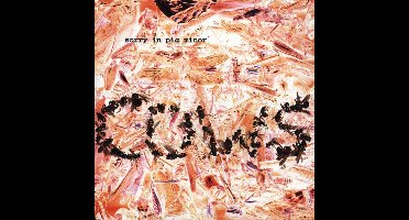 Sorry In Pig Minor