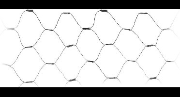 Home & Styling Netverlichting 160 Led 100 Cm