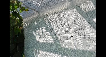 Royal Well Schermgaas 5 x 1,8 meter