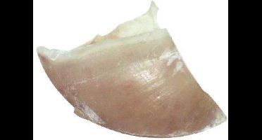 Petsnack Kalfshoeven Groot (100 stuks)