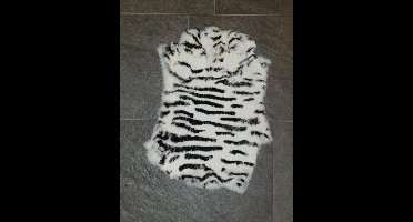 Zebra Wit