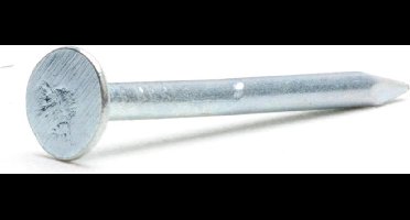 SAM Plafondnagel 2,0x25mm