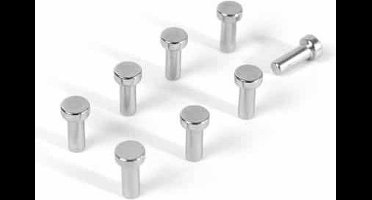 Magneet Spijkertjes 'Tiny' 8 x (Neodymium koelkastmagneten en magneetbord magneetjes) van Trendform