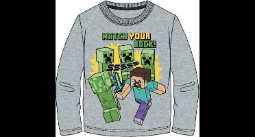 Minecraft t-shirt lange mouw - grijs - met Steve en creepers - 116 / 6 jaar