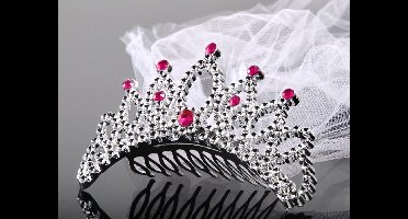 """Tiara met a veil, zilver"""