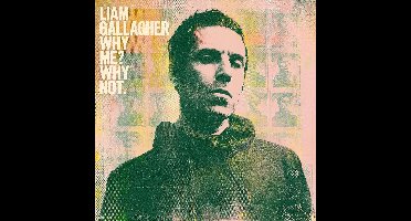 Why Me? Why Not. (LP)