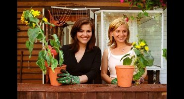 PLAION Bettgeflüster und Babyglück DVD Duits