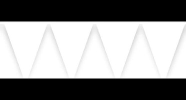 Vlaggenlijn wit (10m)