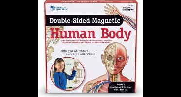 Dubbelzijdige magneten - het menselijk lichaam - anatomie set