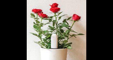 Xiaomi HHCC Flower Care Plant Sensor Monitor - Met handige app - Real-time informatie - Meet welzijn van jouw planten - Voor Kamerplanten & Tuinplanten