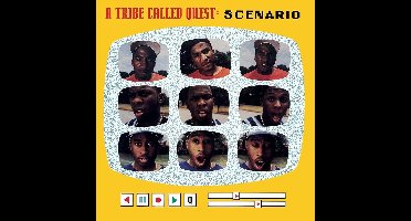 Scenario