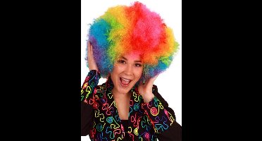 Afro Pruik Regenboog