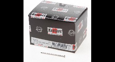 Kelfort draadnagel bombe kop RVS 2.7 x 55mm 1kg