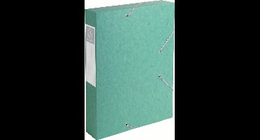 Exacompta 16003H archiefdoos 500 vel Groen Papier