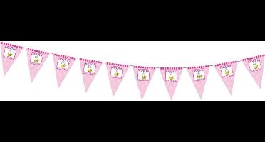 vlaggenlijn geboorte meisje - Nijntje - 6m