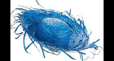 Vegaoo - Blauwe Hawaii hoed voor volwassenen