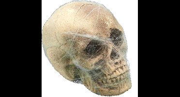 Vegaoo - Schedel met spinnenweb decoratie