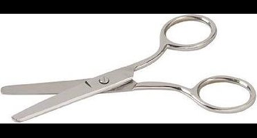 Silverline Zakschaar 100mm