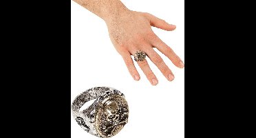 Ring schedel en botten