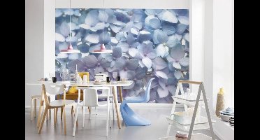 Komar Fotobehang Photomural Light Blue