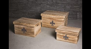 PTMD 6 delig decoratiekist Acacia