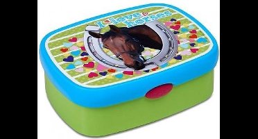 Lunchbox Paarden 2