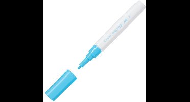 Pilot Pintor Pastel Blauwe Verfstift - Fine marker met 1,0mm schrijfbreedte - Inkt op waterbasis - Dekt op elk oppervlak, zelfs de donkerste - Teken, kleur, versier, markeer, schrijf, kalligrafeer…