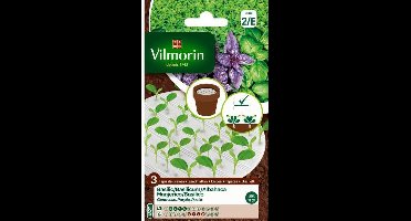 Basilicum trio - zaaimat 3 x 10 cm