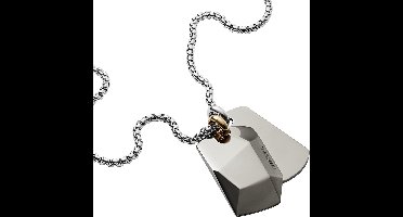 Diesel Double Dogtags Heren Collier DX1143040