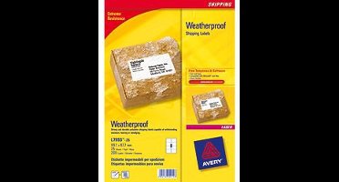 Etiket Avery 99 - 1x67 - 7mmt 25 vel 8 etiketten per vel wit